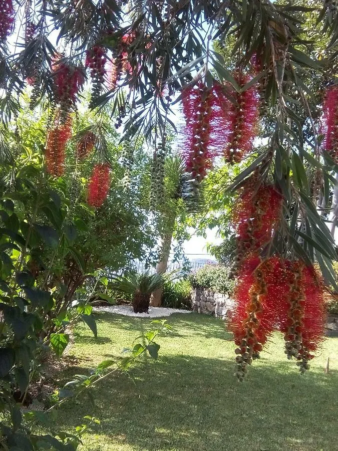 Bed & Breakfast La Chambre De Ker Briac Funchal