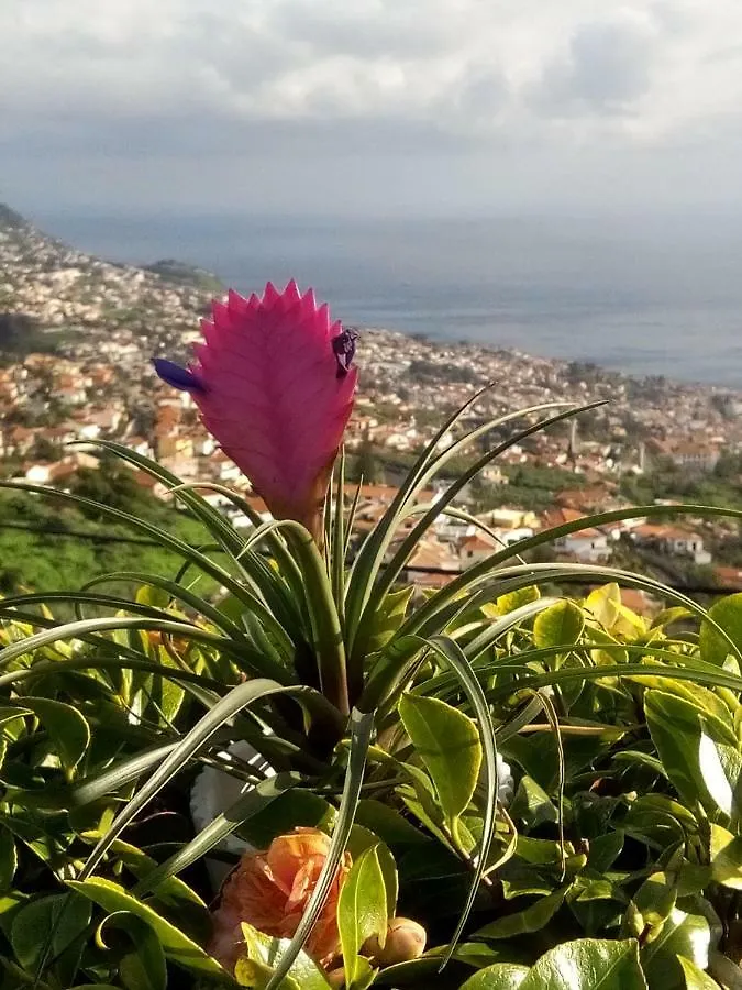 La Chambre De Ker Briac Funchal
